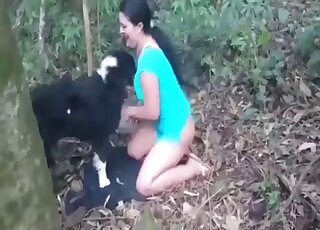 Animals bestiality porn