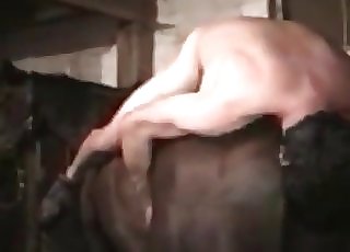 Dude eating mare's moist hole